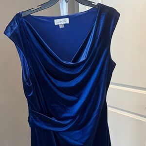 NWT Elegant Blue Velvet Dress